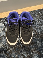 Size 11 - Nike Air Max BW 2021 Persian Violet