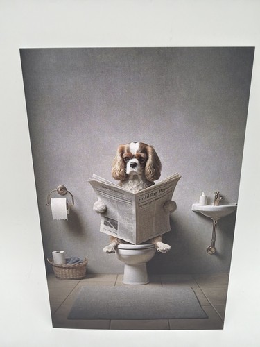 Affiche carte postale - affiche, a6