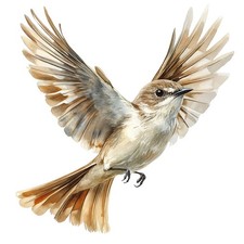 2 x autocollants autocollants