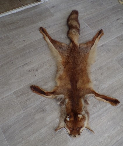 Peau renard roux - de,