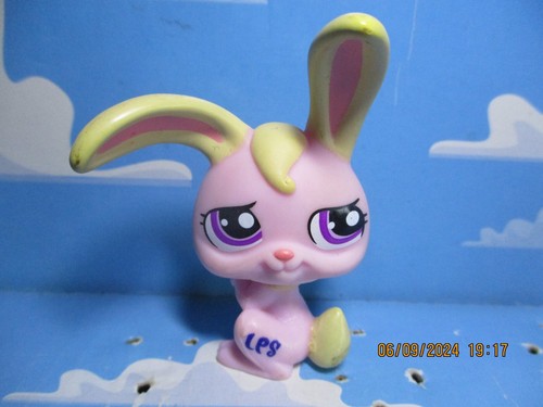 Petshop lapin garenne - petshop, de