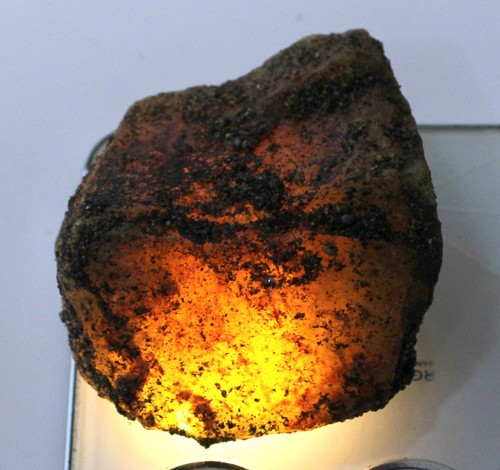 283 naturel madagascar - 283.70, ct