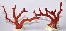  MEDITERRANEAN RED CORAL - 2 BRANCHES - 72 & 97mm - 23gr 