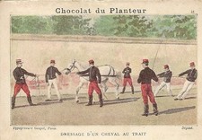 CHROMO RECOMMENDED PRODUCTS PLANTER CHOCOLATE DRESSAGE OF A HORSE WITH A LINE