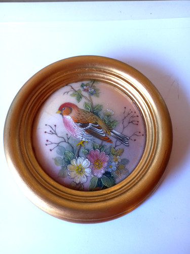 Oiseau branché dans