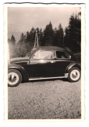 Photographie coccinelle - coccinelle, vw