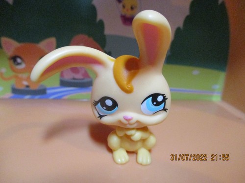 Petshop lapin garenne - petshop,