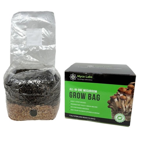 Myco labs all - one, mushroom