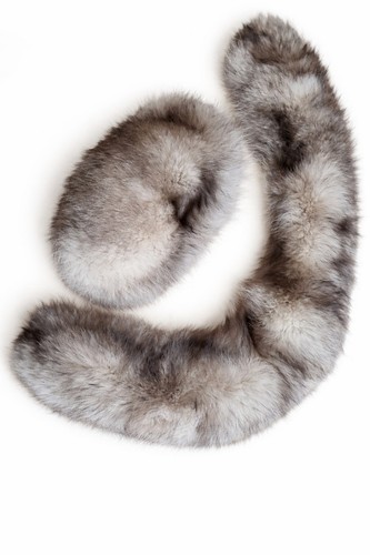 Fourrure renard blanc - renard,