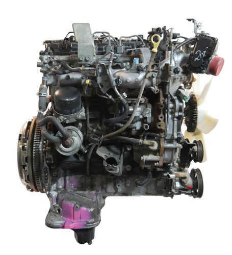 Moteur pour nissan - moteur,