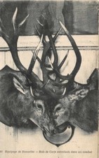 Bonnelles Crew - Deer Wood Intertwined in Combat