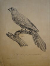 P. OUDART (1796-1850) BELLE