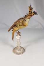 ANCIEN OISEAU SUR PIED BOIS