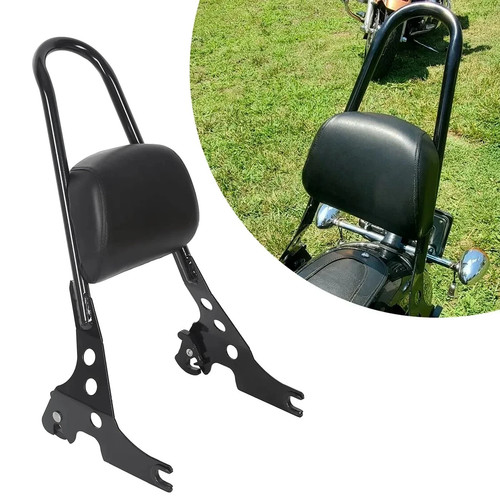 Detachable sissy bar - detachable, passenger