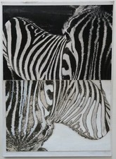 Curiosity - Double Zebra - Enhanced Solarization Mount - 1970's Prints