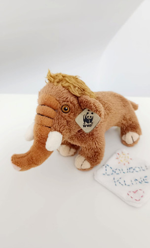 Peluche doudou petit - petit, mammouth
