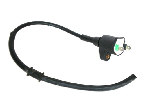 Bobine allumage pour - pour, adly