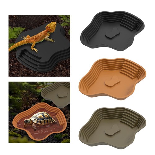 Bol eau pour - pour, tortue
