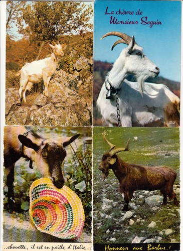 Lot cartes postales - lot,