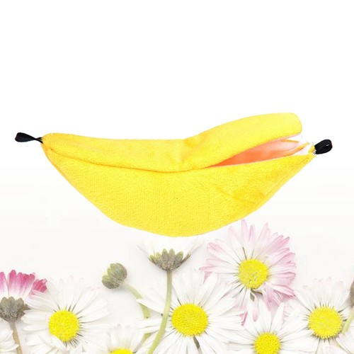 Animaux design pet - animaux,