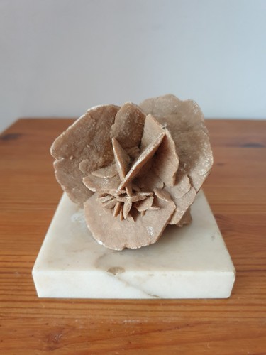 Belle rose des - , sables