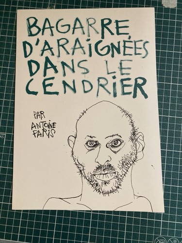 Bagarre araignée dans - bagarre,