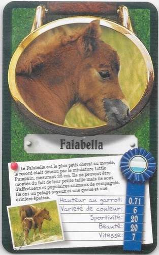 Carte top trumps - -, chevaux