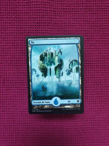 Lot 133 cartes magic the - lot,