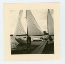 PHOTO snapshot amateur failed backlight, a sailboat boat sail pontoon