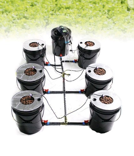 Systeme hydroponique dwc - hydroponique,