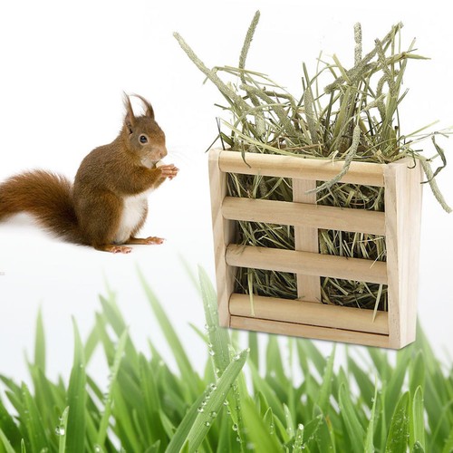 Petits animaux cage lapin - petits,