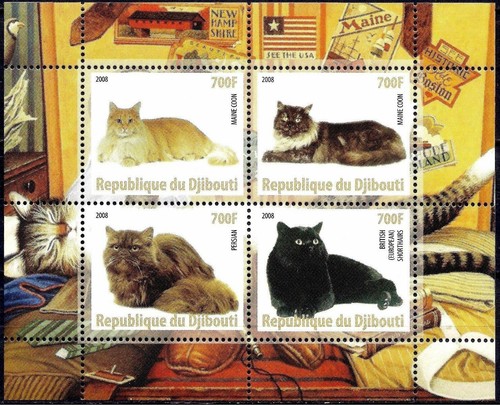 Chats animaux compagnie - animaux, de