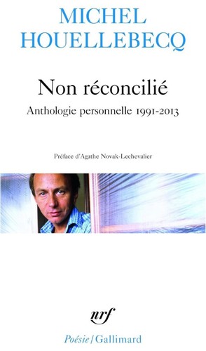 Michel houellebecq non - -,