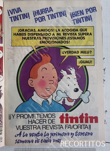 Clippings lily tintin - sp,