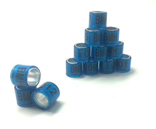 Bagues oiseaux plastique - bagues,