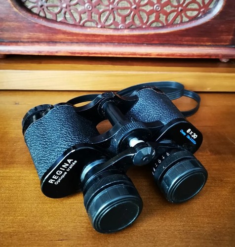 Vintage paire jumelles - paire,