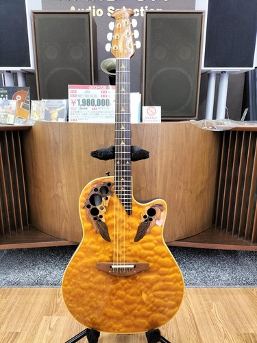 Guitare acoustique électrique