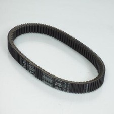 Courroie de transmission Moose