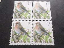 BELGIQUE , BLOC de 4 timbre 2457, OISEAUX, SIZERIN FLAMME', neuf**, MNH