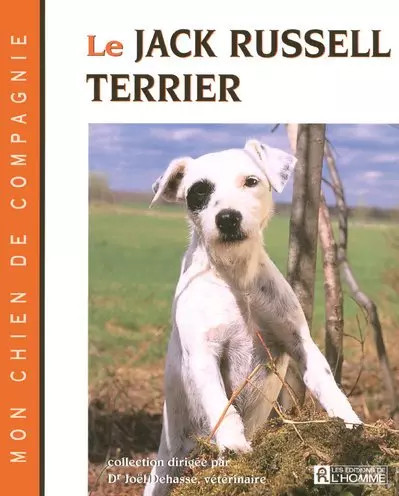 Jack russel terrier joel - jack,