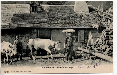 Suisse switzerland chalets - switzerland,