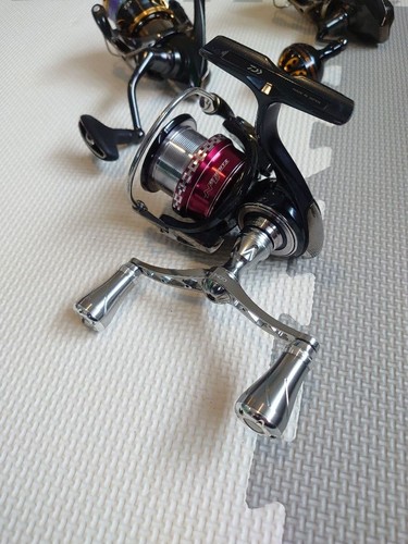 Daiwa certate studio - daiwa, ocean