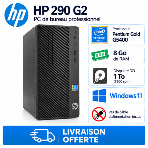 290 intel pentium - hp,