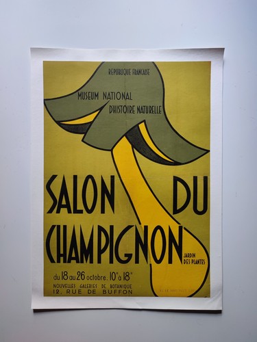 Salon champignon affiche - du,