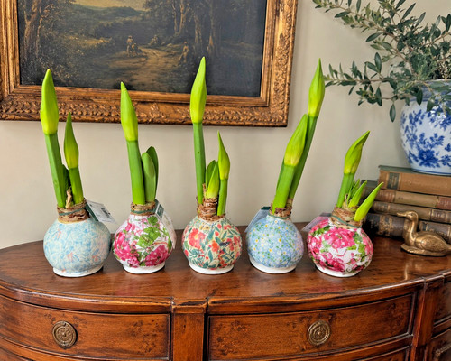 Hand decorated waxed - decorated,,