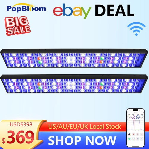 2pcs popbloom led - 2pcs,