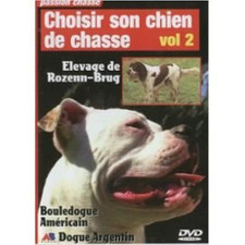 Chien de chasse - Bouledogue