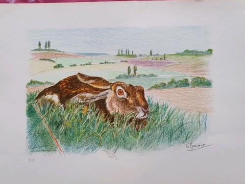 Genevoix maurice lithographie - genevoix,
