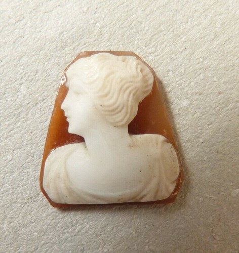Camée sur coquille 19e