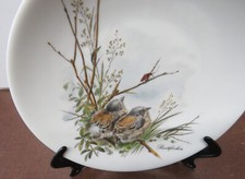 Assiette Murale De Johann